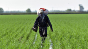 DOSM: Sektor pertanian dan pembuatan tumbuh sederhana