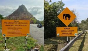 Terowong Khas Lindungi Gajah, Kurang Risiko Kemalangan – KKR