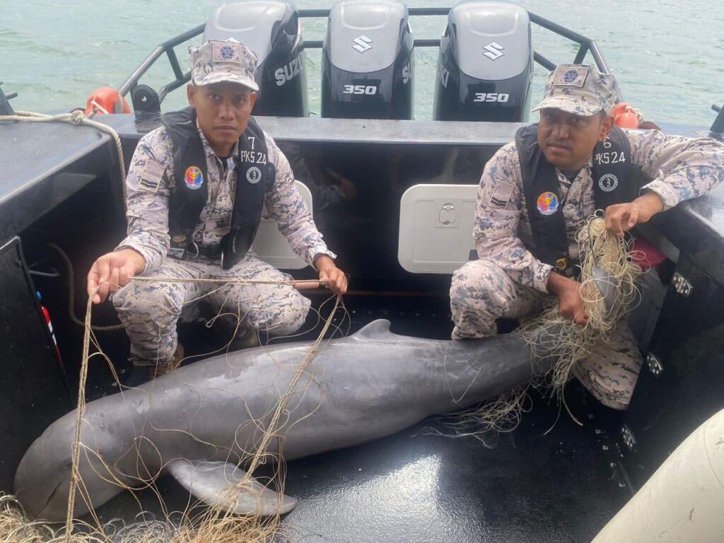 ‘Irrawaddy’ Terancam Mati Tersangkut Pukat Haram
