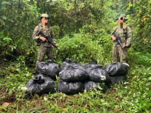 Cubaan Seludup 320kg Daun Ketum Gagal, Dipatahkan TDM