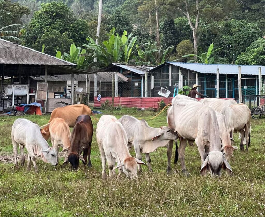 Program Agropreneur NextGen Buka Laluan Generasi Muda Dalam Industri Ruminan