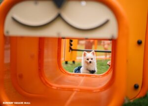 Sunway Square Mall Tarik Balik Dasar Mesra Haiwan Susulan Arahan Kerajaan Negeri