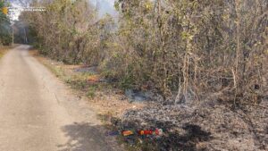 Portal Berita Malaysia Bangkit