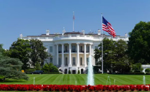 Portal Berita Malaysia Bangkit