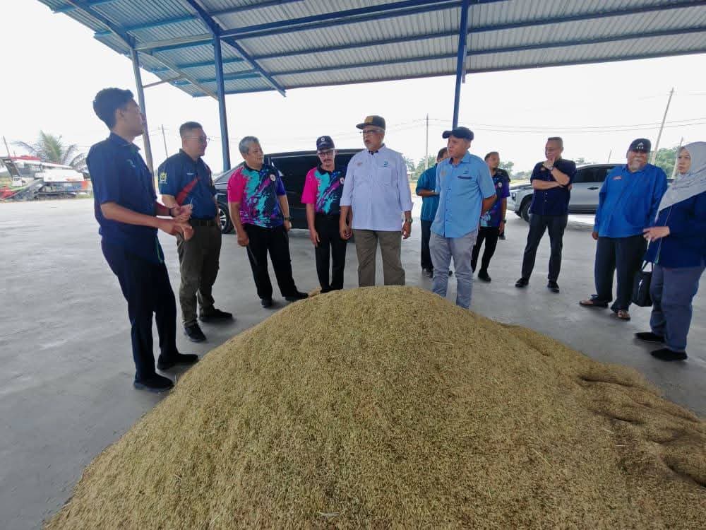 Bantuan Diesel Perlu Dibalas Dengan Peningkatan Hasil – LPP