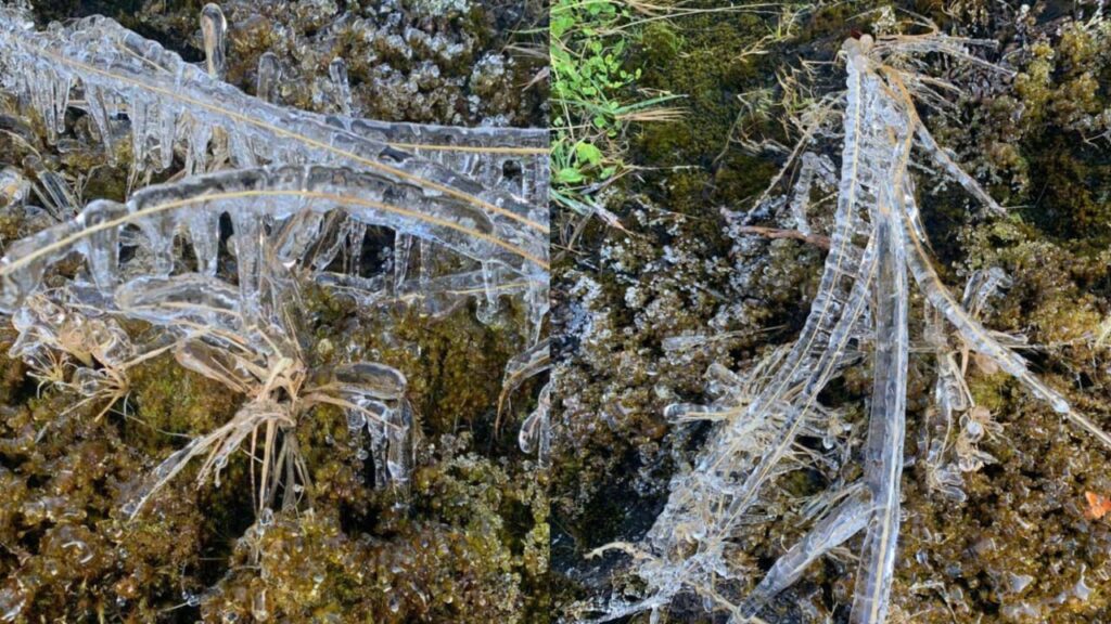 Fenomena Ais Beku Di Panalaban, Gunung Kinabalu Tarik Perhatian