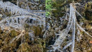 Fenomena Ais Beku Di Panalaban, Gunung Kinabalu Tarik Perhatian