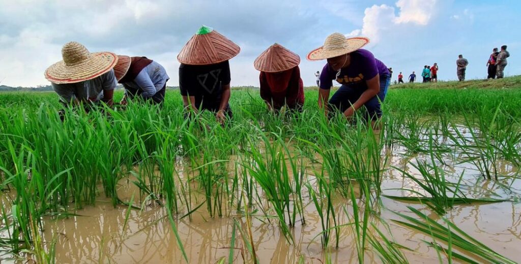 Bantuan pesawah perlu teliti, bukan tidak peduli – Mohamad Sabu