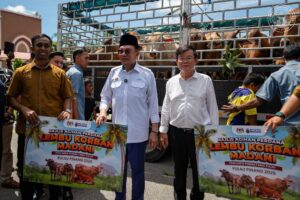 Portal Berita Malaysia Bangkit