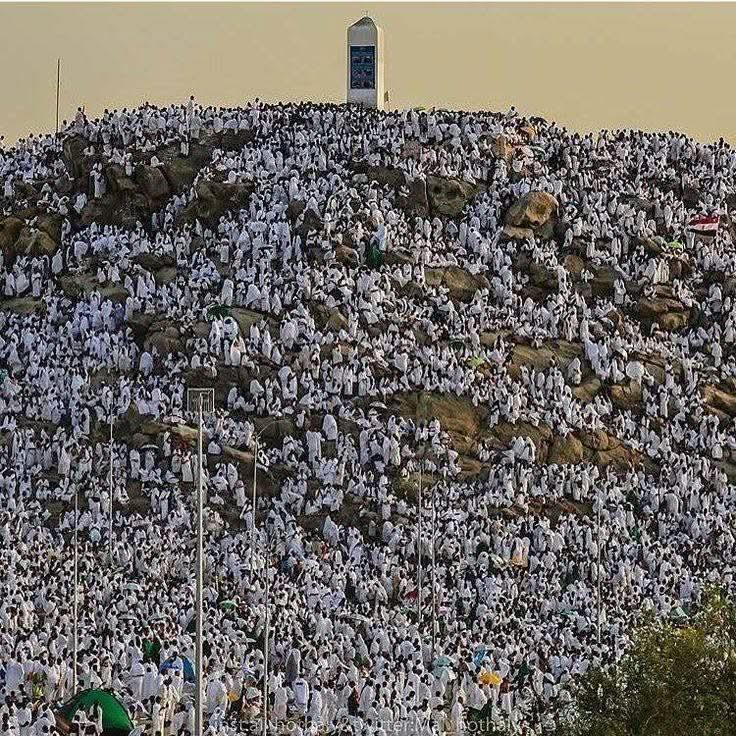 Doa, Kesatuan Umat Islam Warnai Arafat