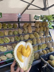 Durian Tsunami: Apabila musang king ‘tersungkur’ di pasaran China